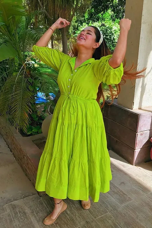 Aarushi Fuchsia Green Maxi Dress